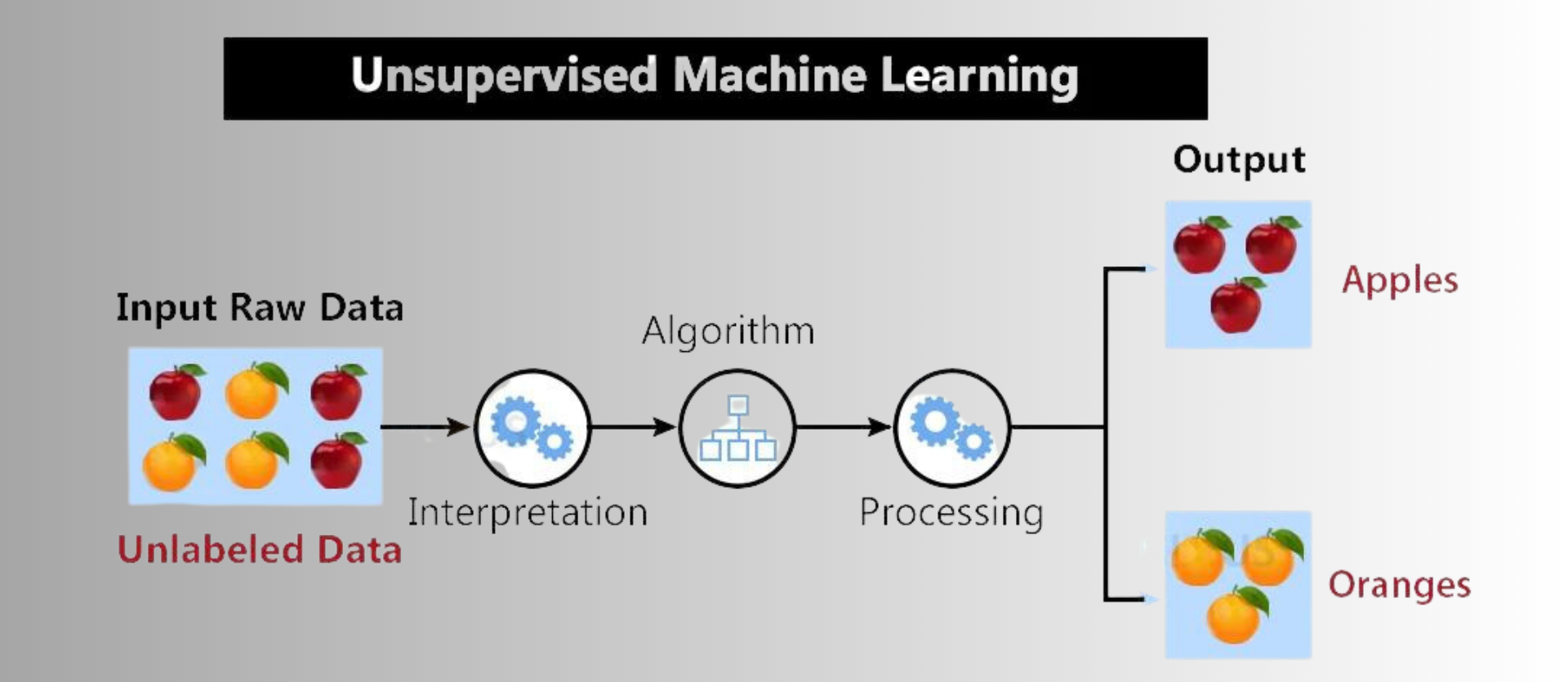 Unsupervised Learning For Image Analysis Cambridge Image Analysis
