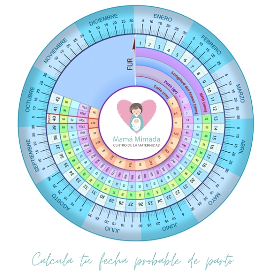 Calculadora Gestacional Por Fum