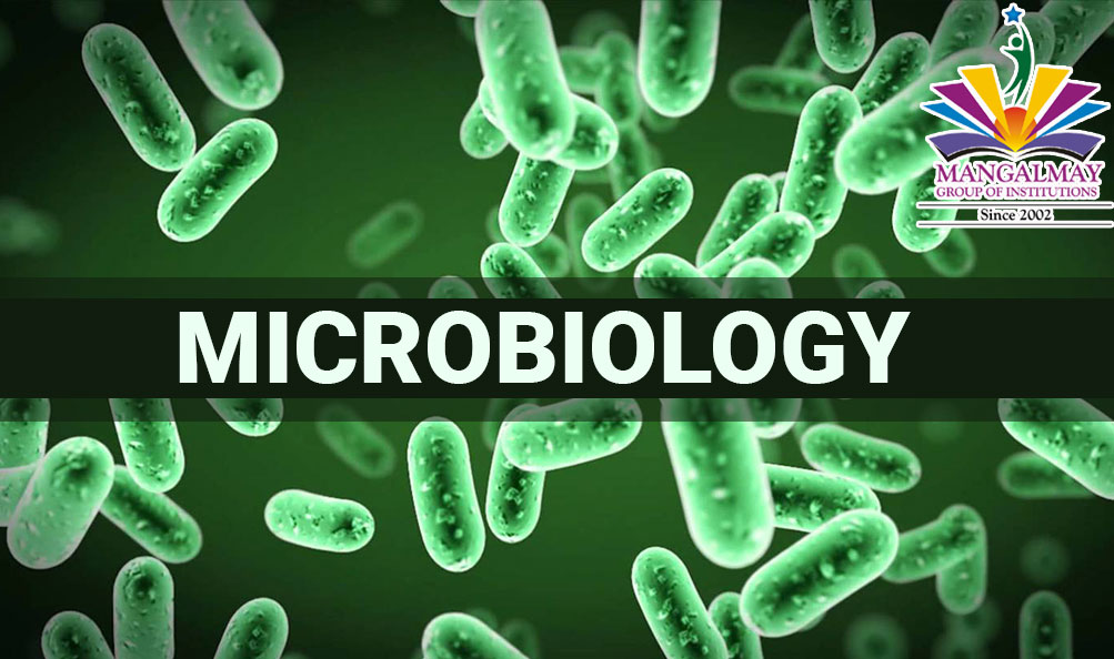 Microbiology Mod 1 4 Study Questions Microbiology Module 1 4 Study