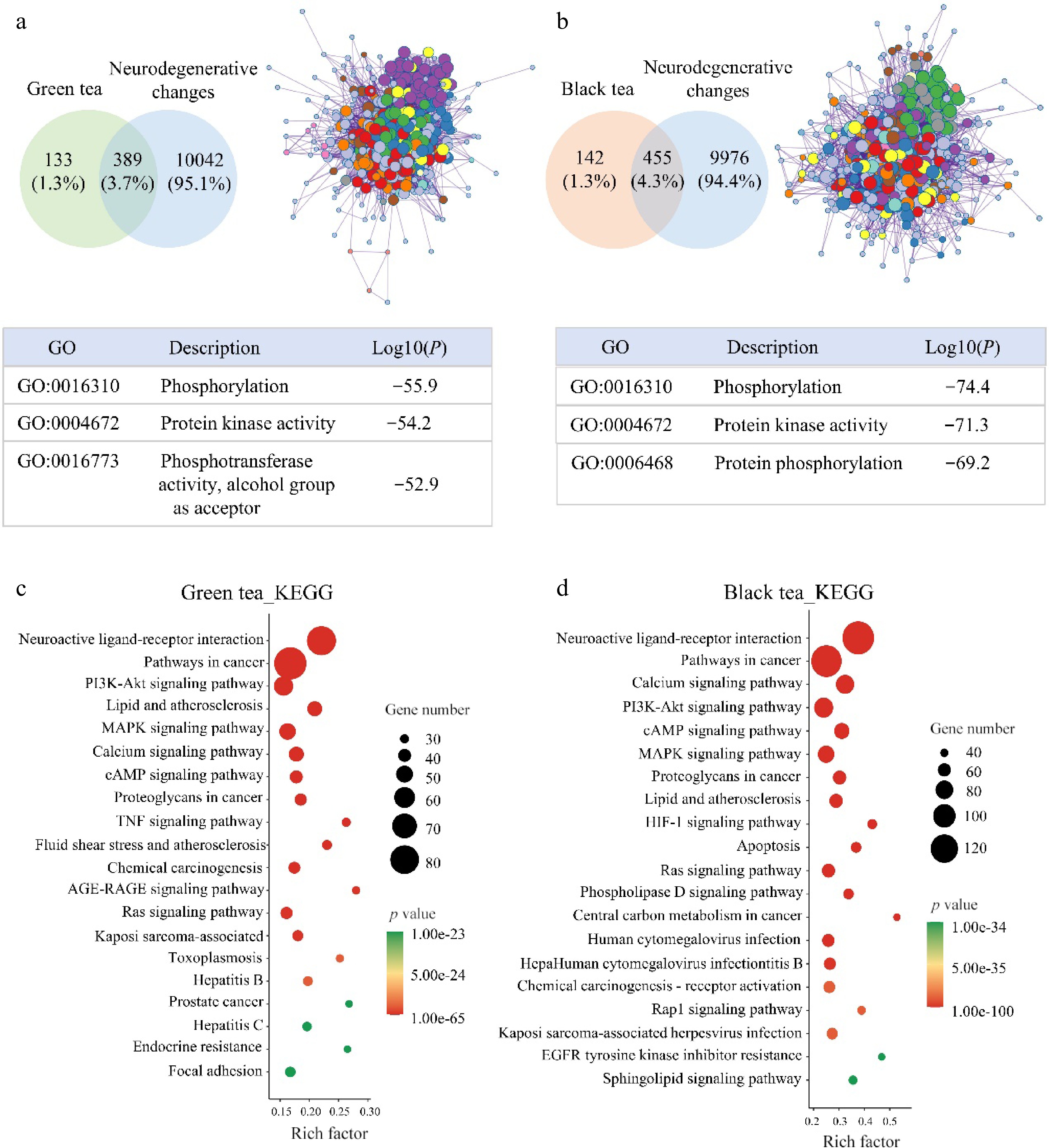 In Silico Analysis Of Bioactivities Of Peptides From Green Tea Gt