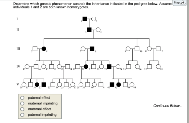 Solved Determine Which Genetic Phenomenon Controls The Chegg Com