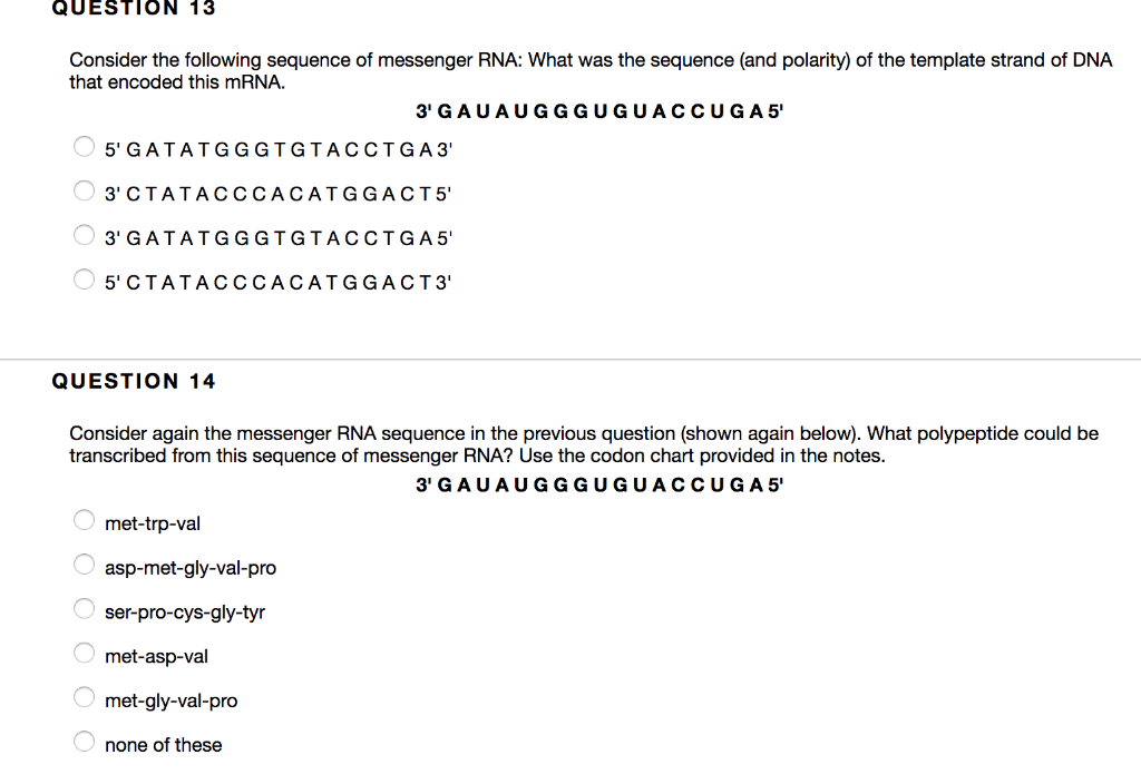 Solved Question 8 What Would Be The Sequence Of Rna That Is Chegg Com