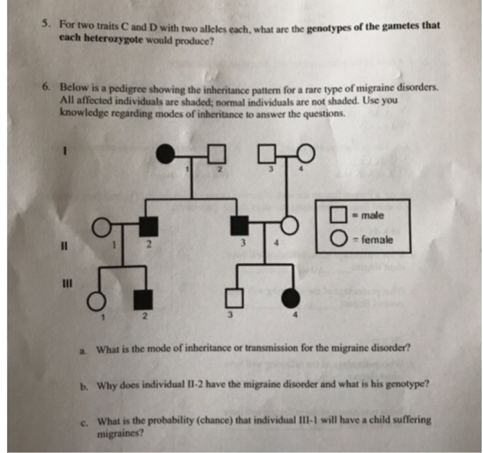 Solved 3 Solve The Tasks Define Alleles Genotypes Chegg Com