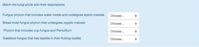 Solved Match Each Of The Following Phylum Of Fungi With Chegg Com