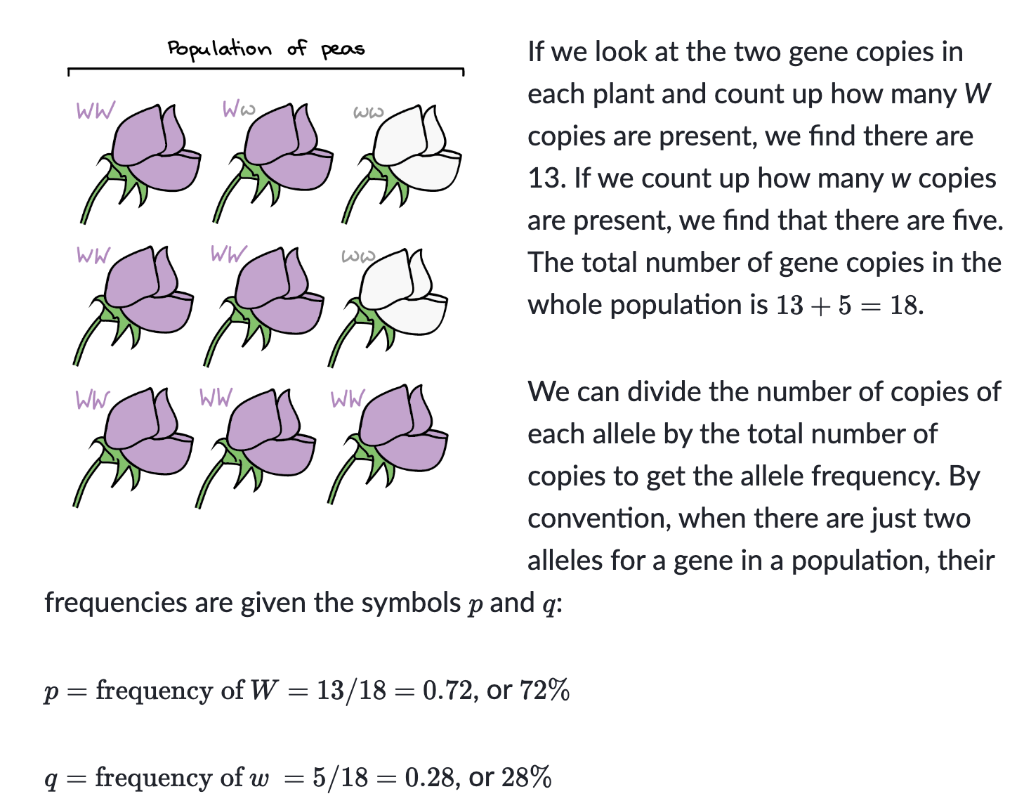 Solved Frequency Of The A Allele Of Alleles In Population Total
