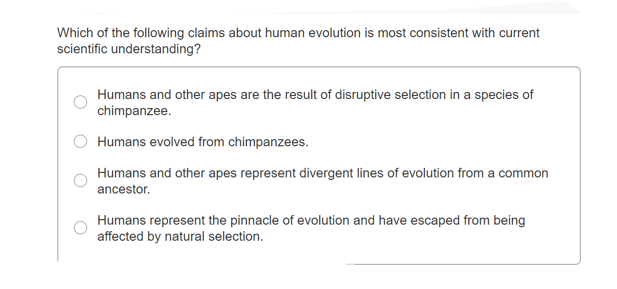 Solved Write A Statement About The Evolution Of The Human Chegg Com