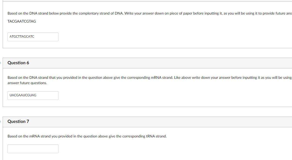 Solved Question 17 1 Point The Polarity In A Dna Strand Is Chegg Com