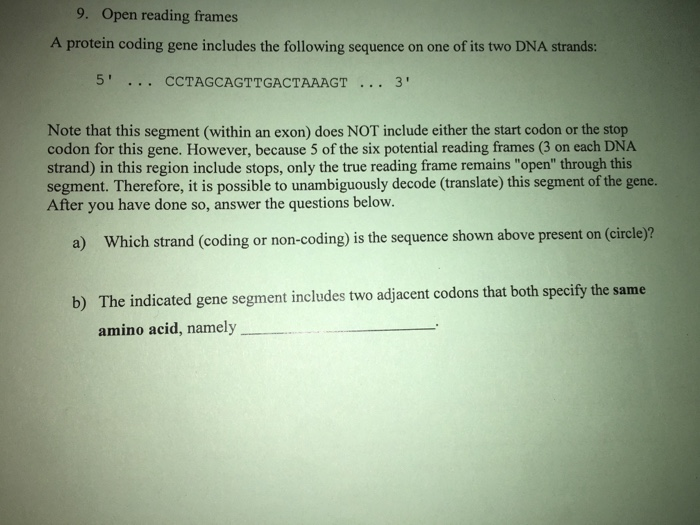 Solved I 5 Opens Reading Frames A Protein Coding Gene Chegg Com