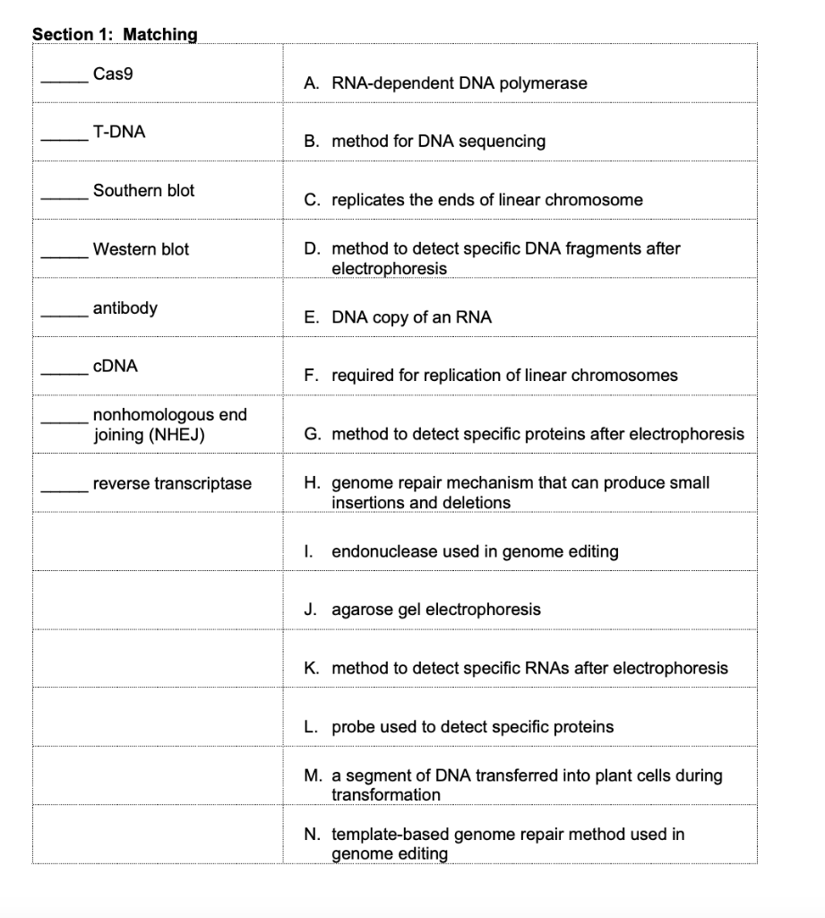 Examination Of The H Dna Region By Chemical Modification The Sequence