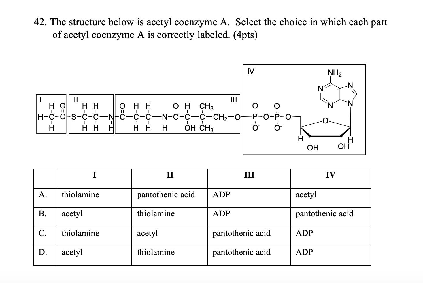 Solved 5 The Structure Below Is Acetyl Coenzyme A Select Chegg Com