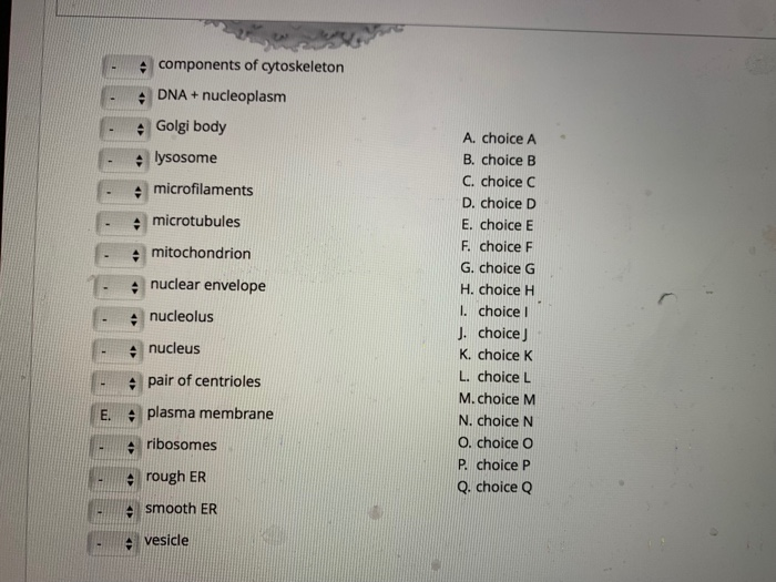 Solved Label The Parts Of The Cell That Interact With The Chegg Com