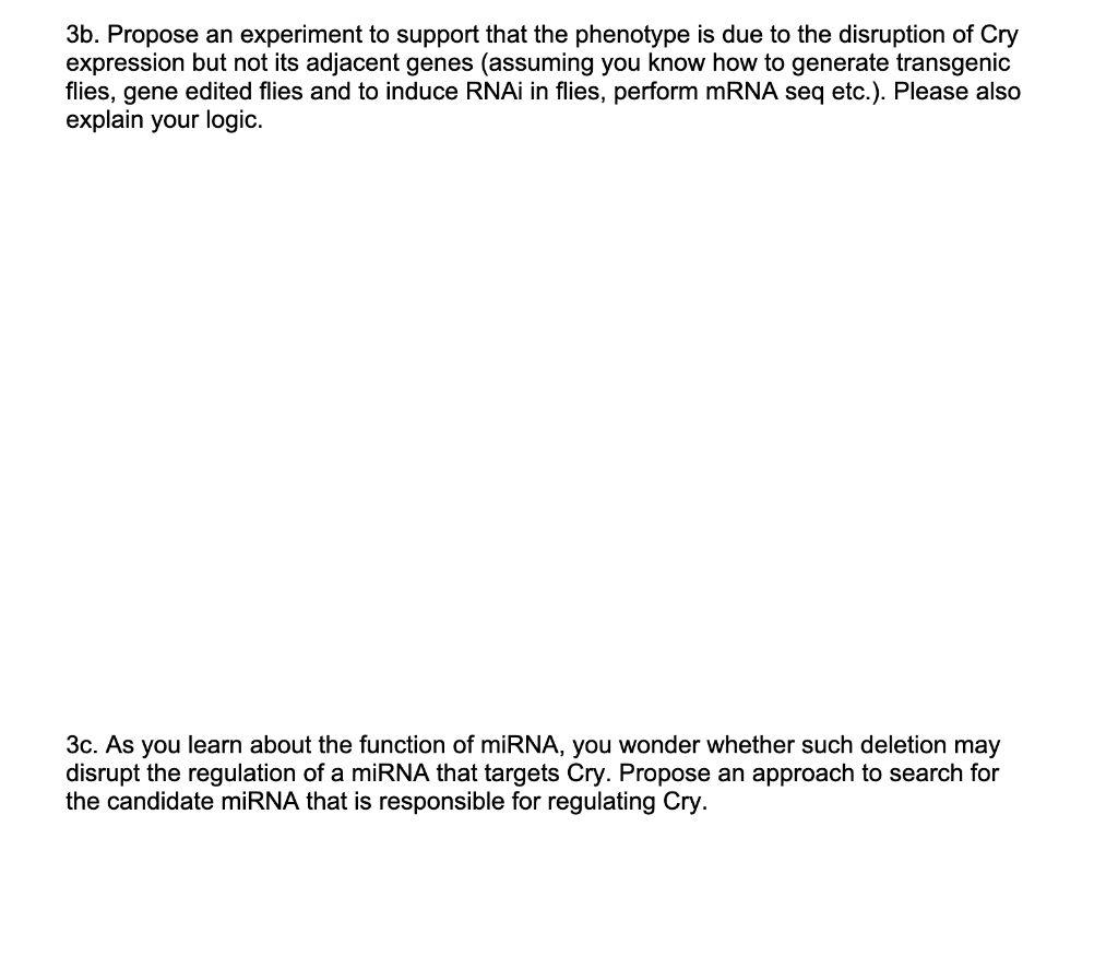 Solved Q3 What Patterns Do You Observe In The Murinae Cytb Chegg Com
