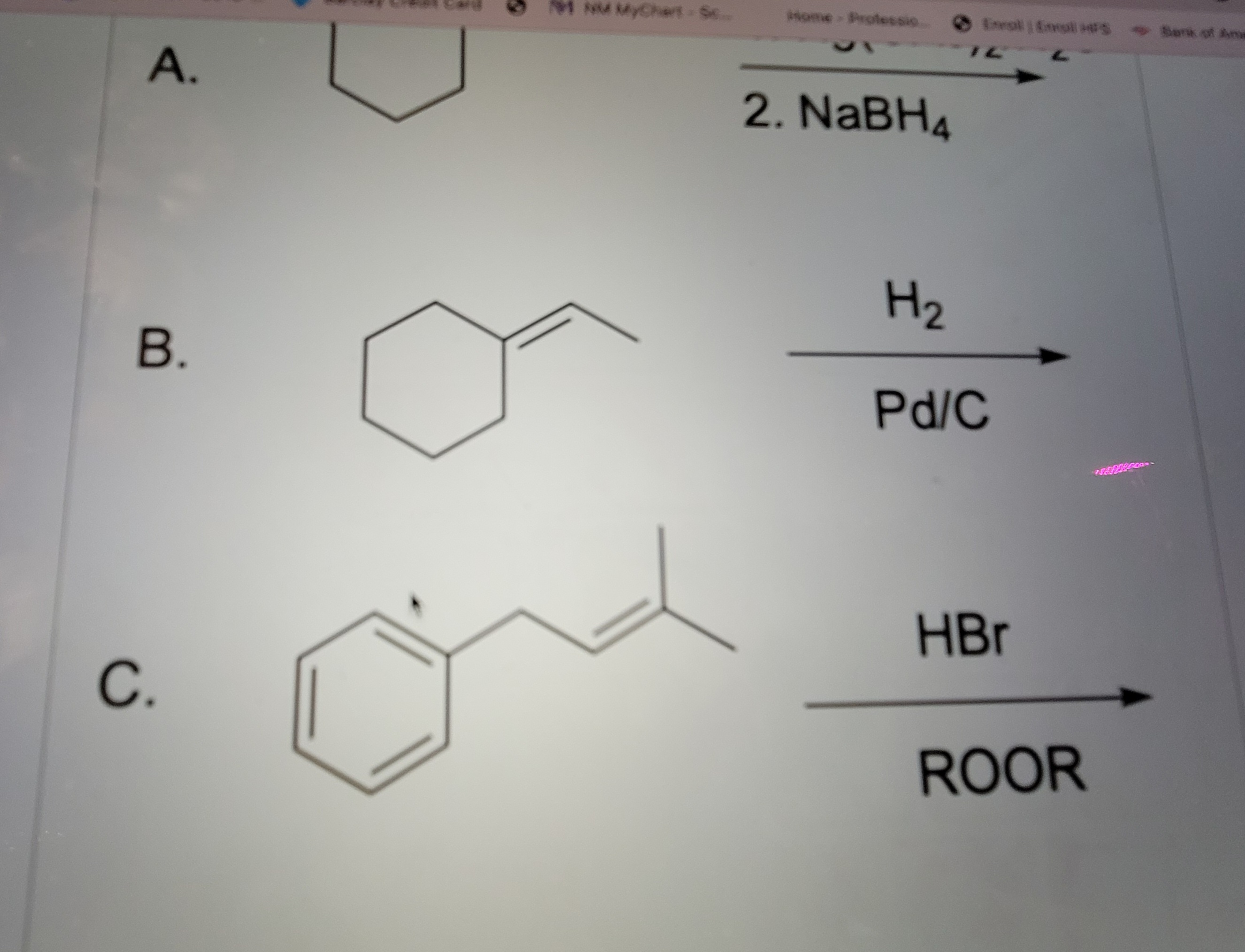 Solved Introductionproteins Are One Of The Major Chegg Com