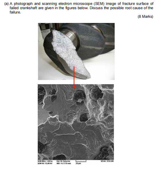 Solved Below Are Scanning Electron Microscope Sem Images Chegg Com