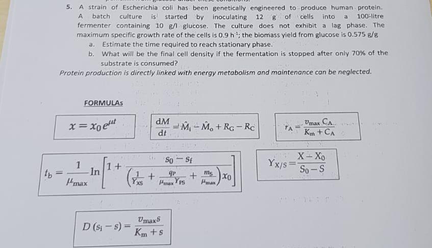 Solved Question 4 A A Genetically Engineered Strain Of Chegg Com