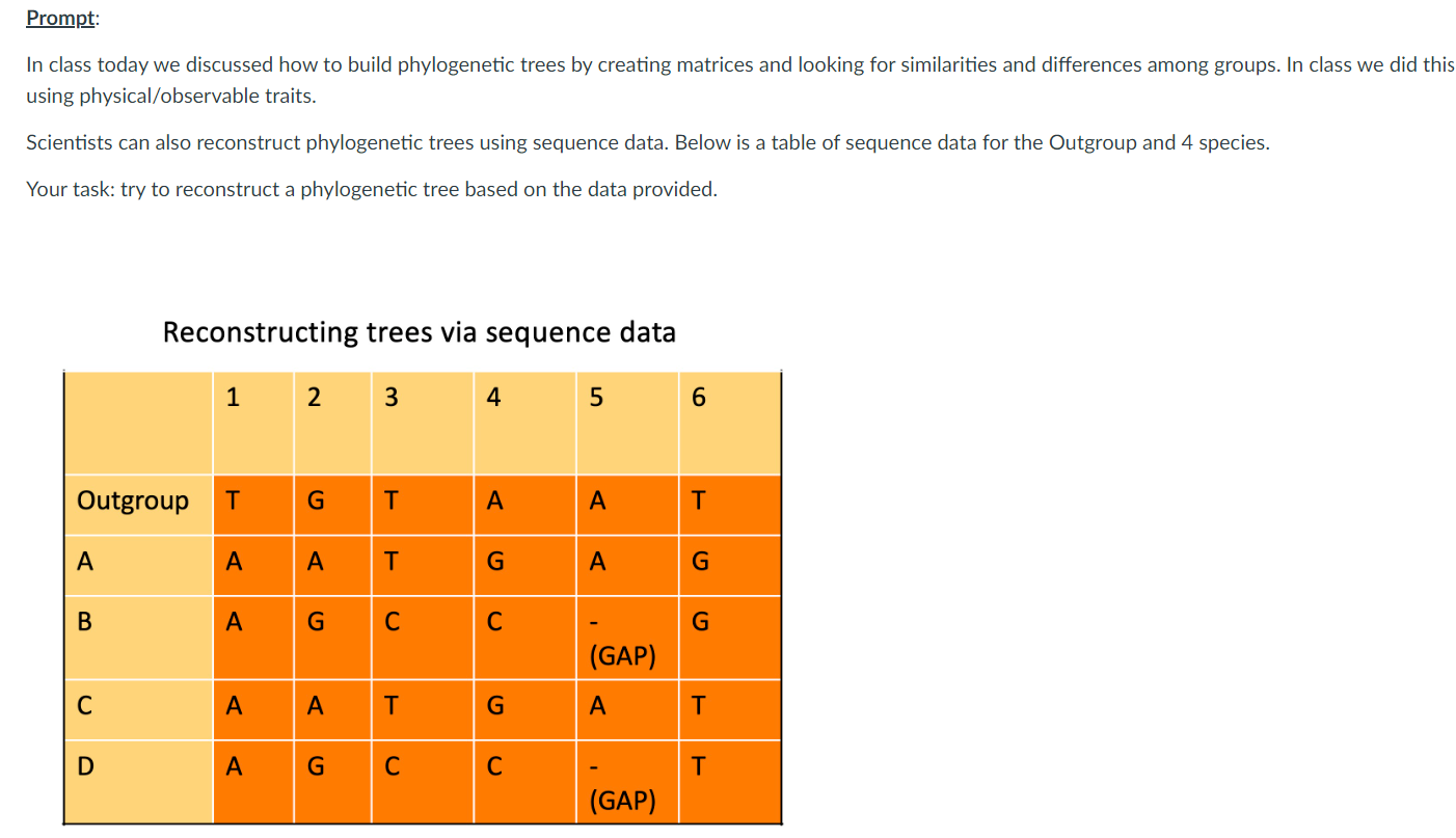 Solved Iii Reconstruct A Phylogenetic Tree Using The Chegg Com