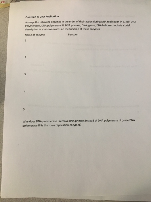 Solved Enzymes Required For Dna Replication Write A Short Chegg Com