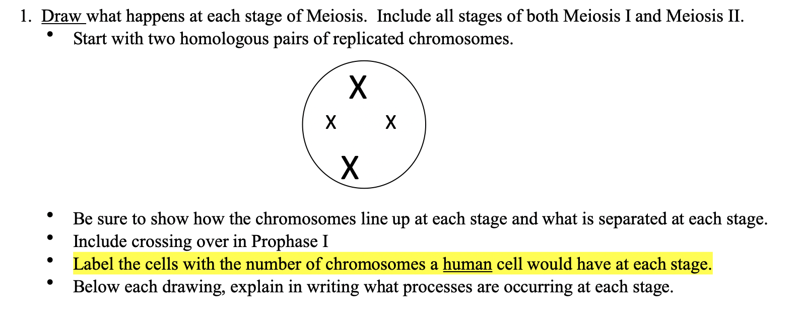 Solved 1 Poin What Stage Of Meiosis Is The Cell Pictured Chegg Com