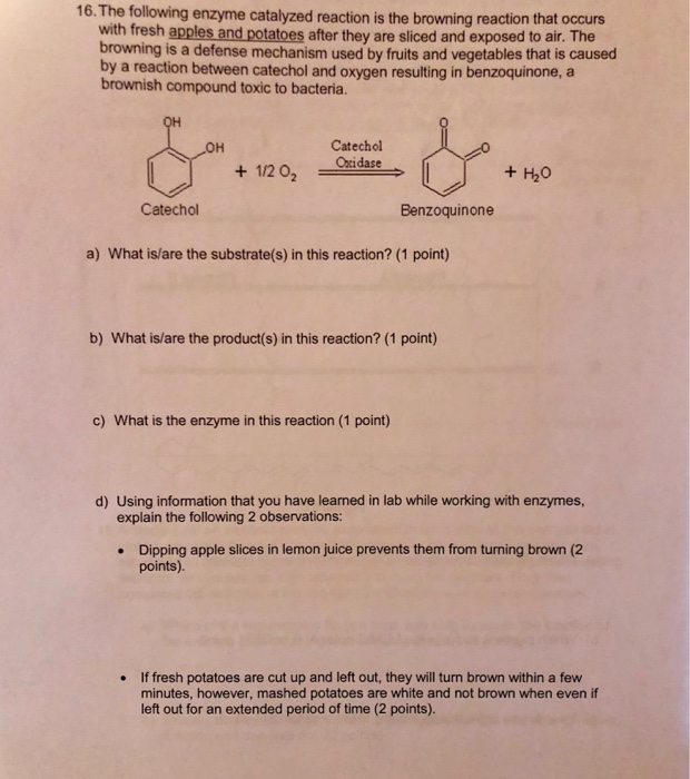 Solved Q6 The Rate Of Reaction For An Enzyme Catalyzed Chegg Com