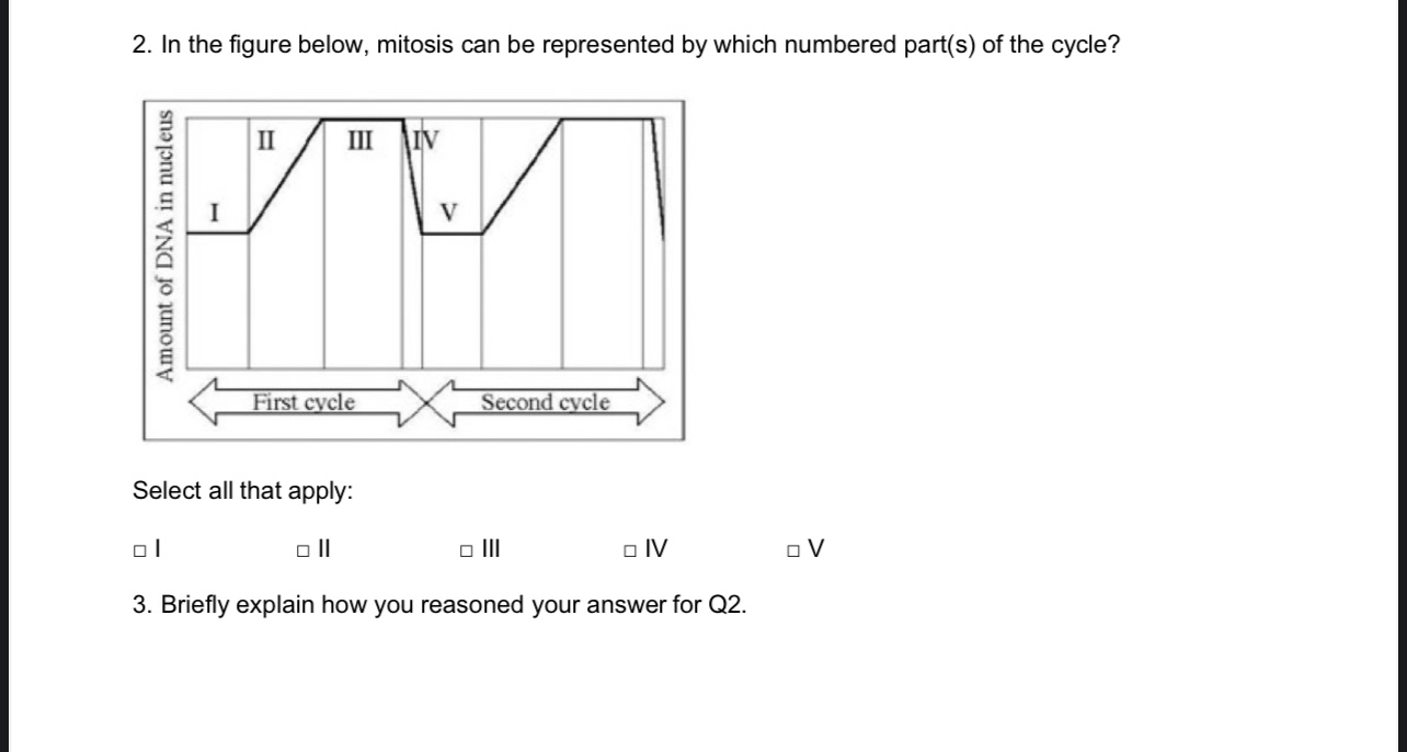 Solved The Bacterial Version Of Mitosis Ismeiosisbinary Chegg Com