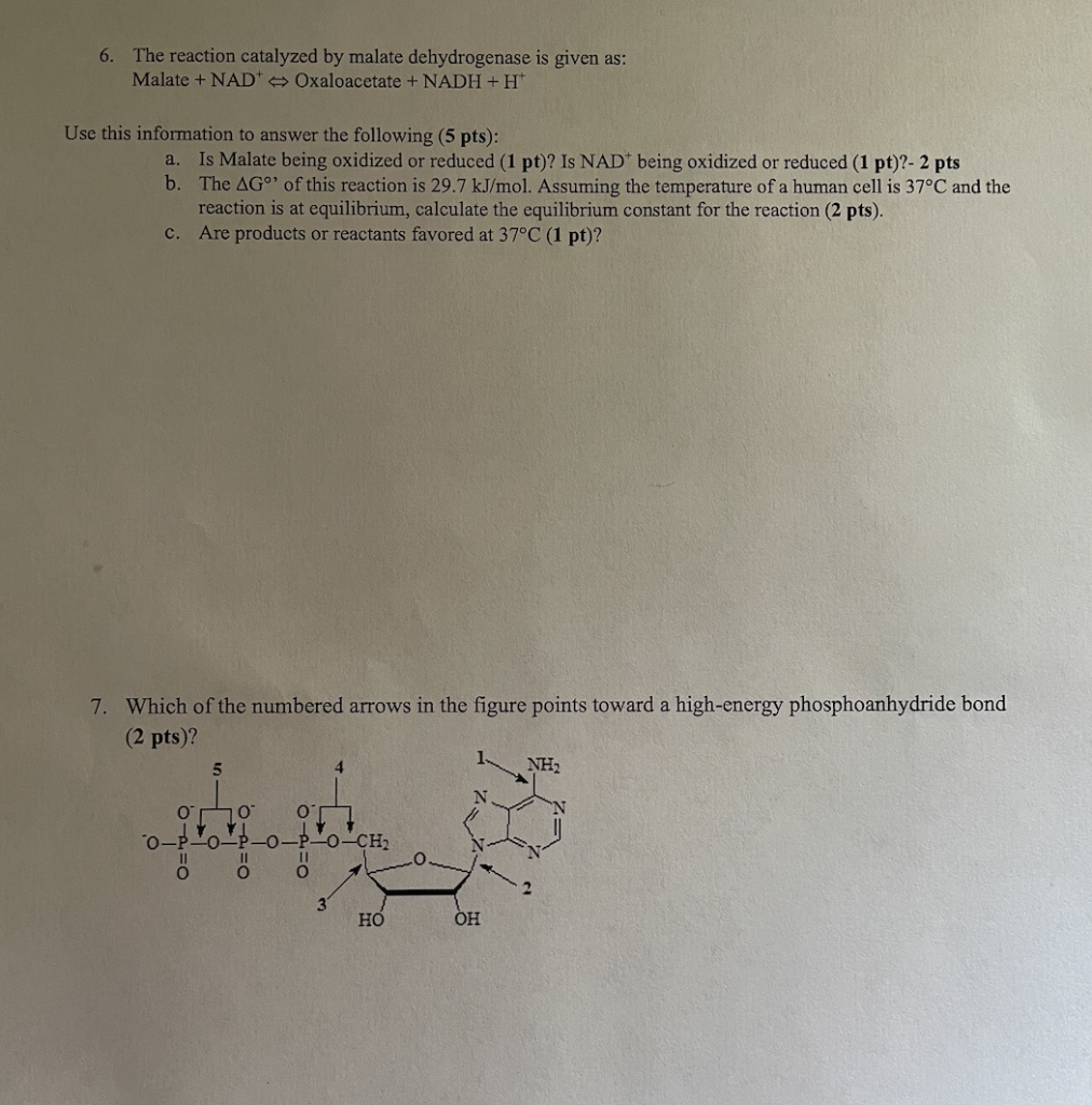 Malate Dehydrogenase Oxaloacetate Decarboxylating Nadp Biochemical
