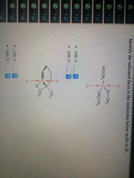 Solved How Many Hydrogens Are Present Around Each Indicated Chegg Com