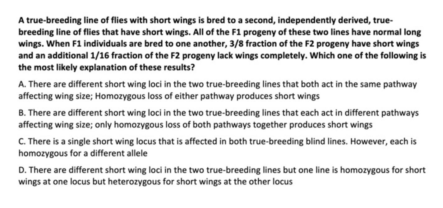 Snap29 Heterozygous And Homozygous Mutant Mice Have Skeletal Defects