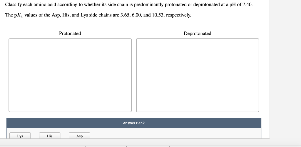 Answered Classify The Type Of Amino Acid Side Chains In The Peptide