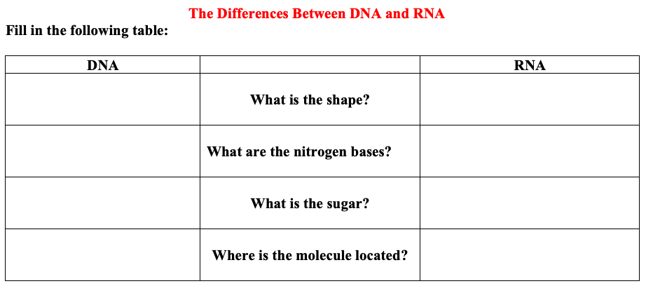 Solved List Three Differences Between Dna And Rna Dna Is Chegg Com