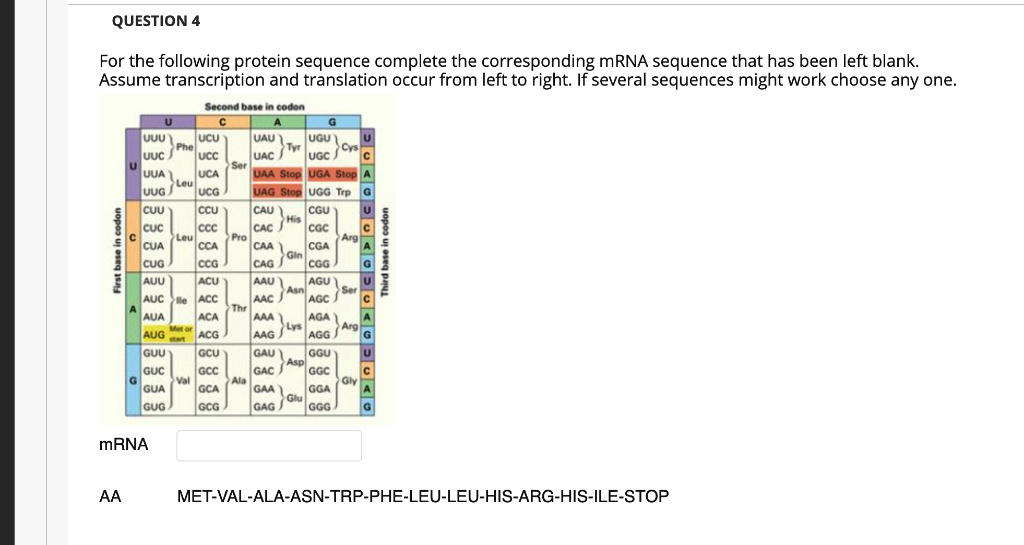 Solved Question 3 Protein Sequences Are Determined Based On Chegg Com