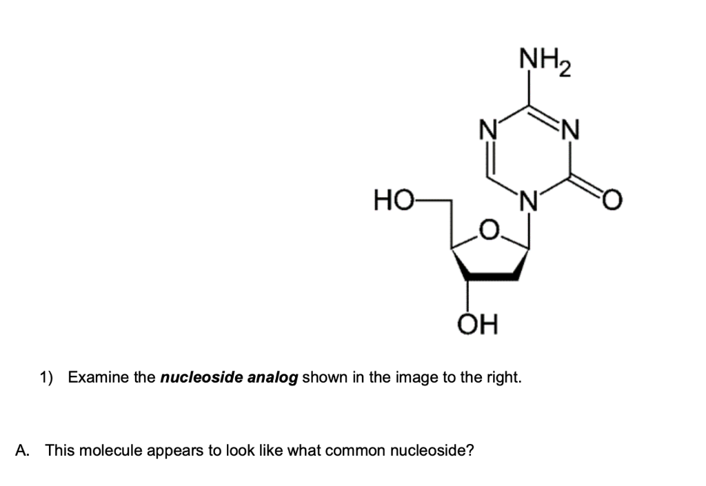 Illustrative Exemplification Of The Nucleosidenucleotide Analogism