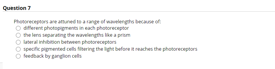 And Larval Photoreceptors Use Different Mechanisms To Specify The