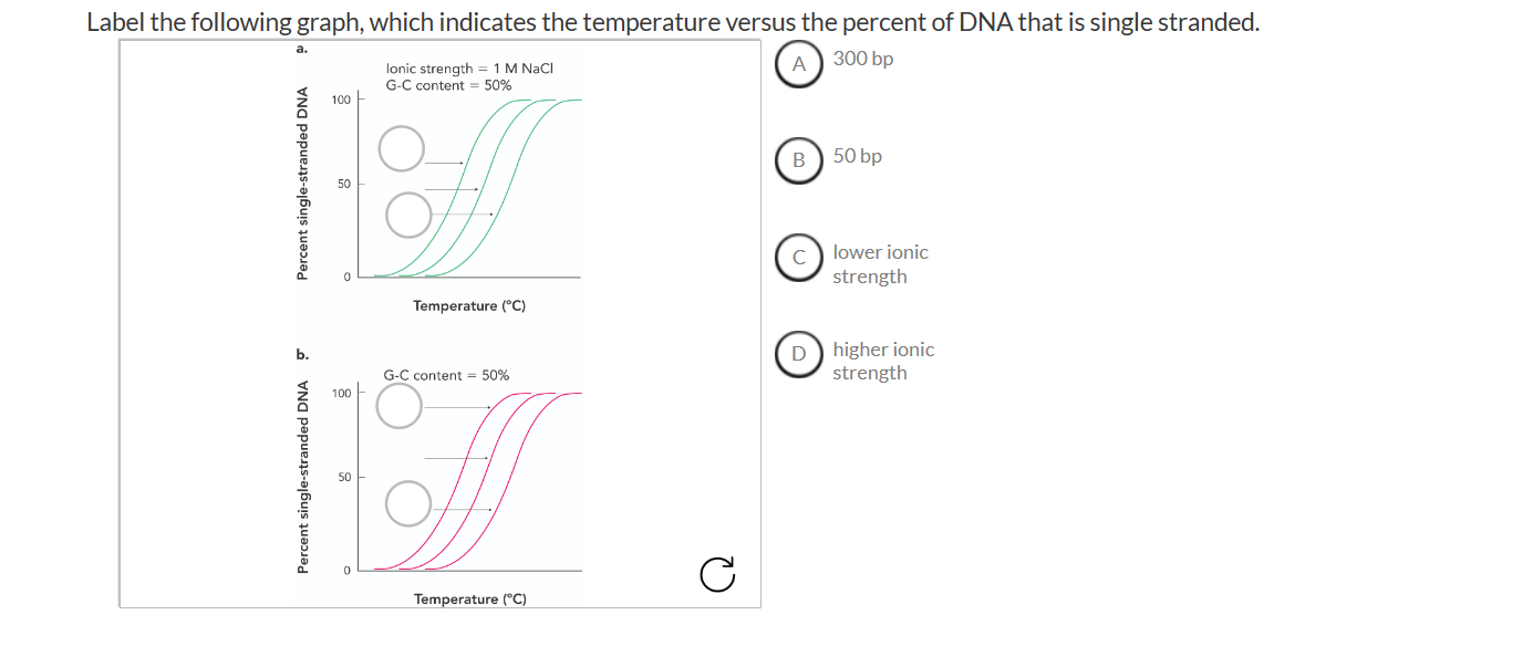 Solved Consider The Following Species Escherichia Coli Chegg Com