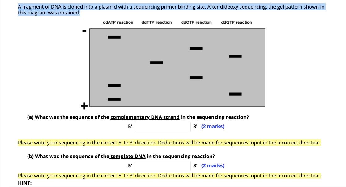 Solved A Consists Of Cloned Dna Fragments For All Expressed Chegg Com