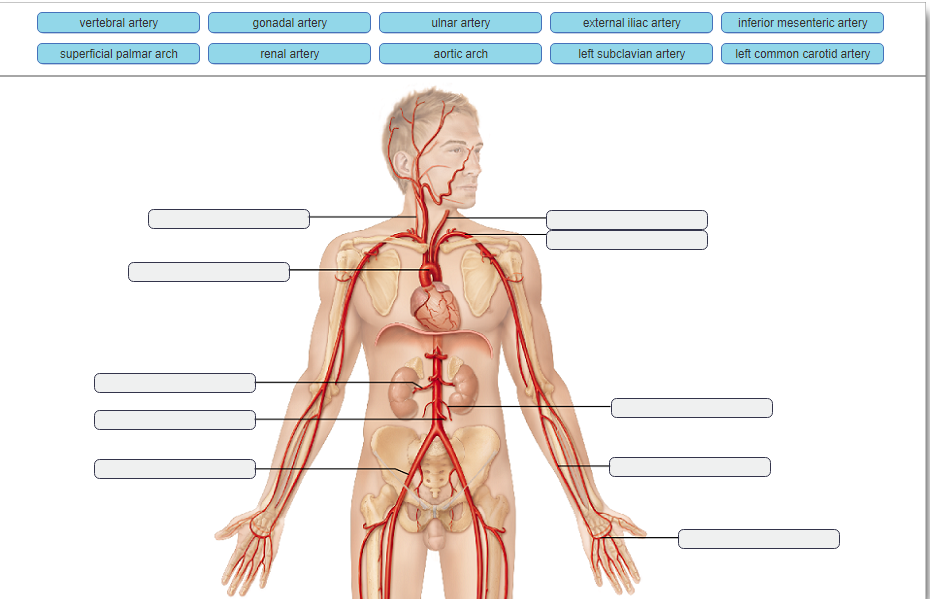 Solved This Assignment Comes In 2 Parts Part 1 Chegg Com