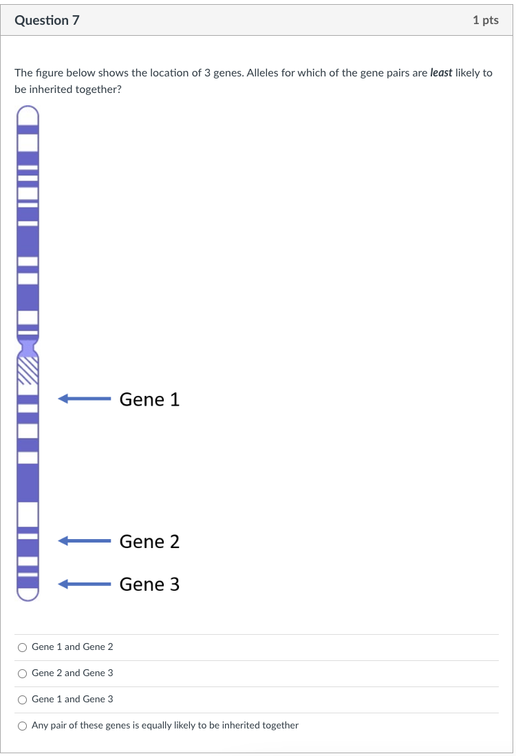 Solved Alleles Are Different Forms Of A Gene Alleles Exist Chegg Com