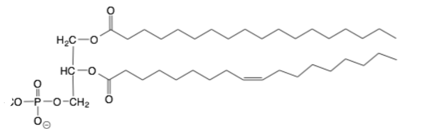 Lipid Nanoparticle Research In Clinically Applicable Conditions