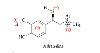 Solved Identify The Binding Interactions That Might Be Chegg Com