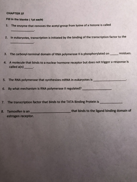 Solved Consider The Prokaryotic Rna Polymerase Shown In Chegg Com