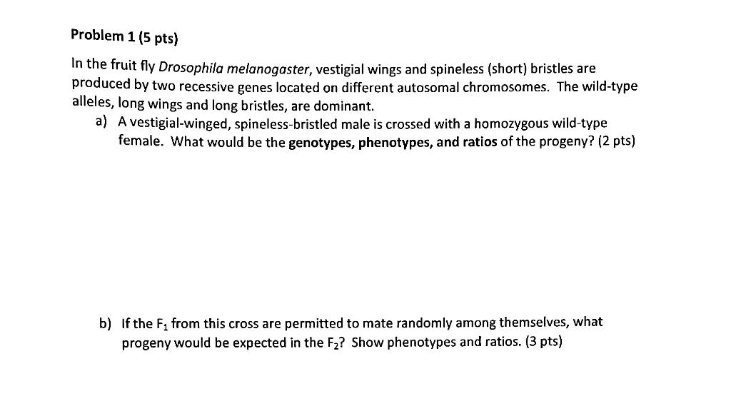 Solved In Drosophila The Genes Fuzzy Hair Vestigial Chegg Com