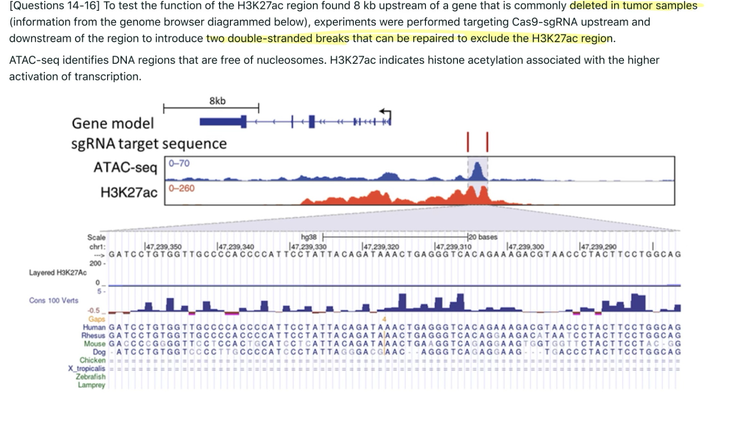 Solved Questions 17 20 After Removal Of This H3k27ac