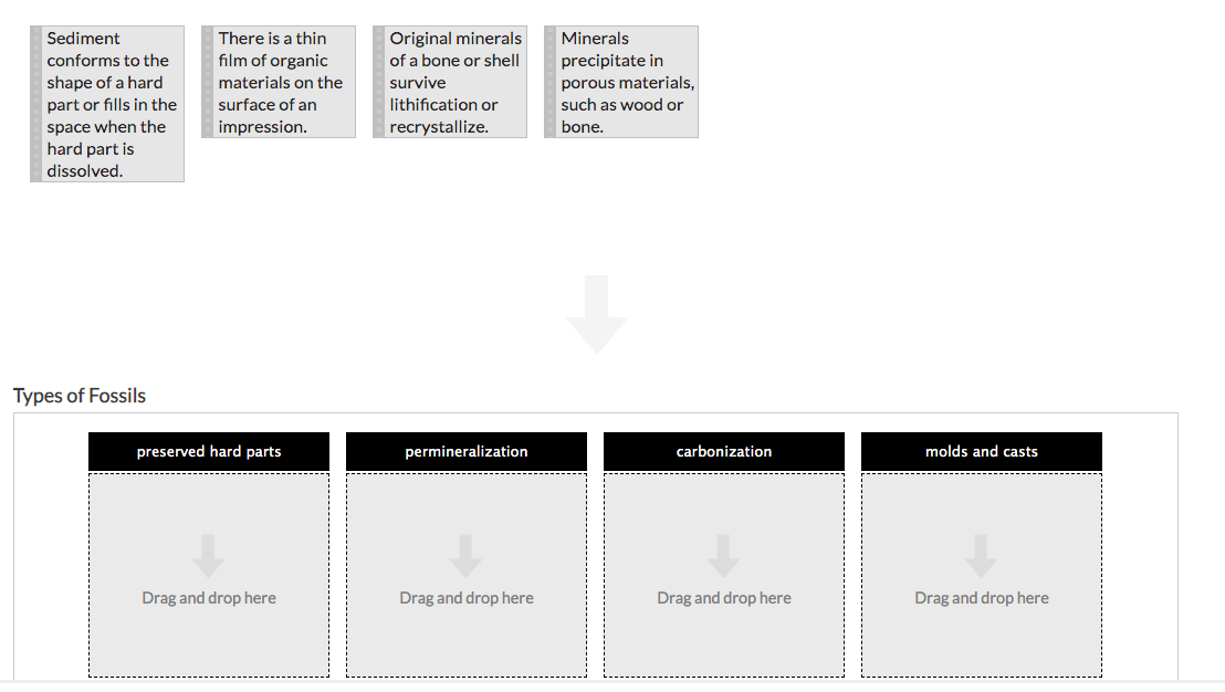 Solved Fossils Allow Us To Understand Which Of The Chegg Com