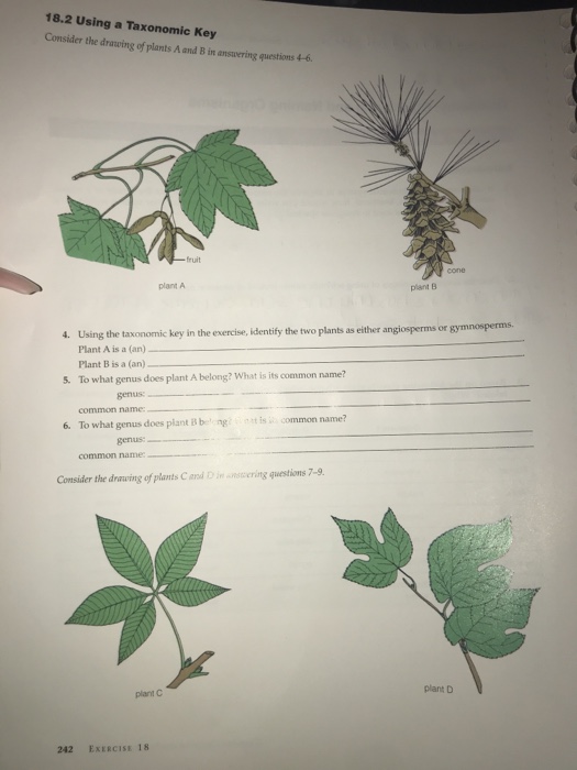 Solved Use The Data Taxonomic Key Below To Answer The Chegg Com