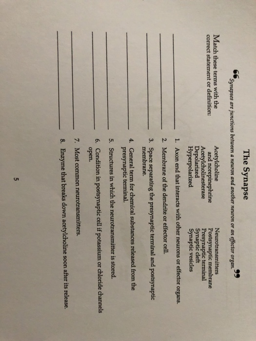 Solution Initiation And Propagation Of Action Potentials Study Notes