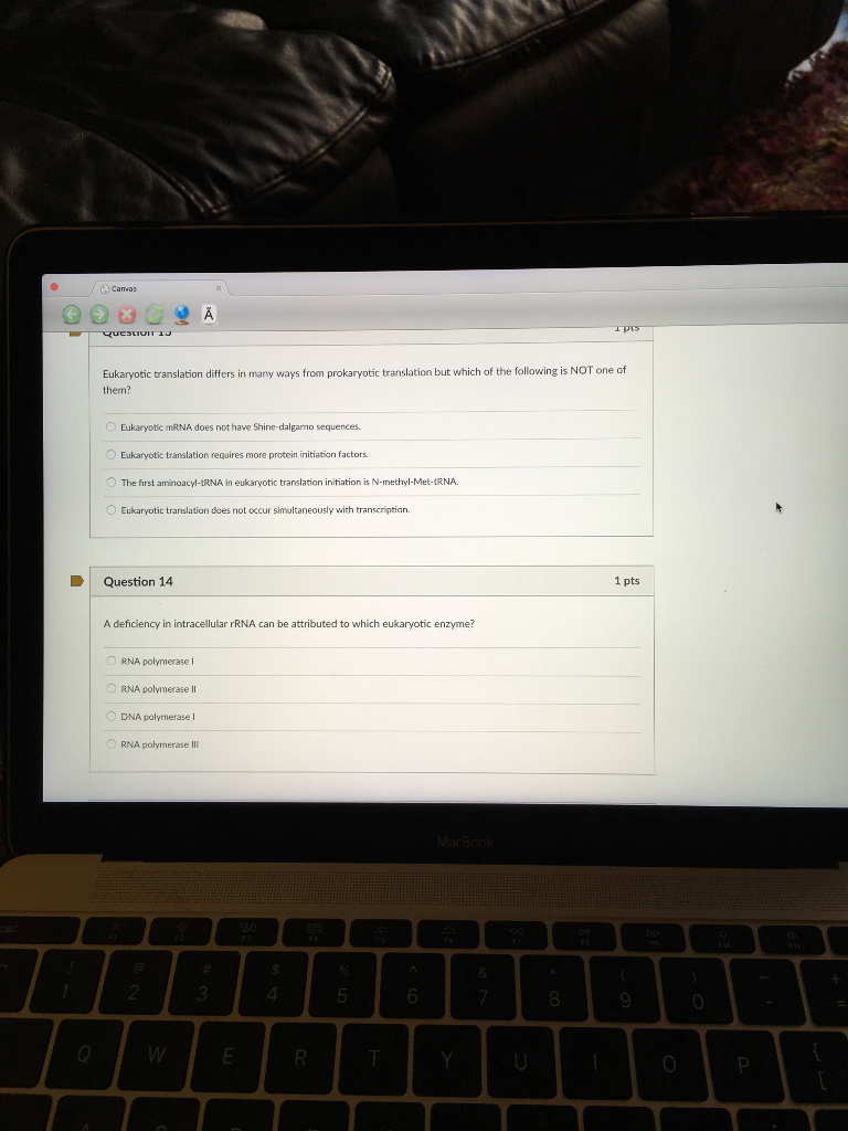Solved Dna Replication Is A Crucial Process Of Creating New Chegg Com