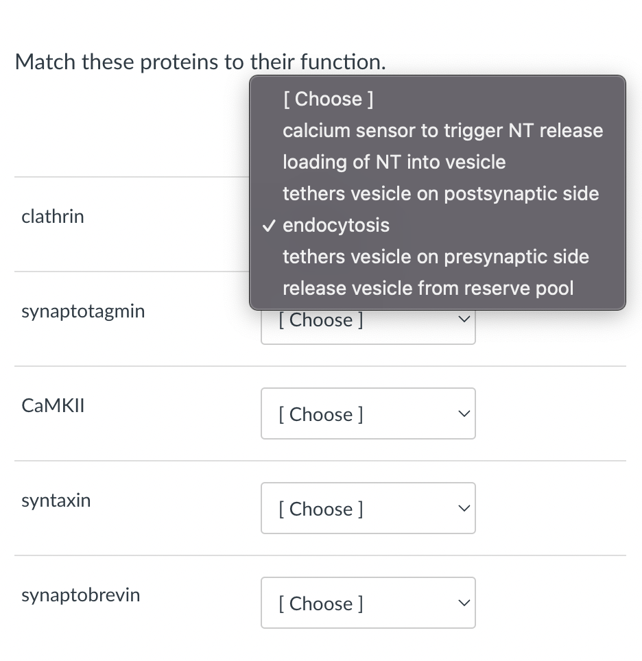 Solved Match The Following Proteins To Their Properties Chegg Com