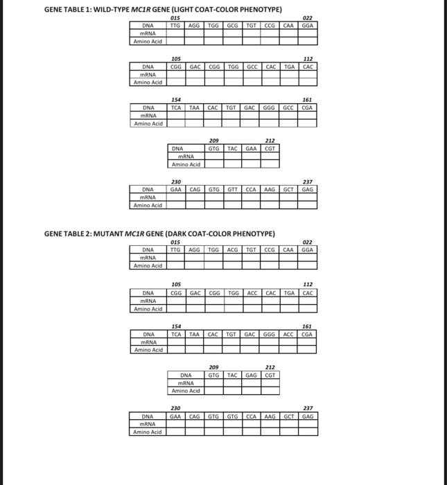 Solved You Identify A Mutant Cell With A Mutation In Protein Chegg Com