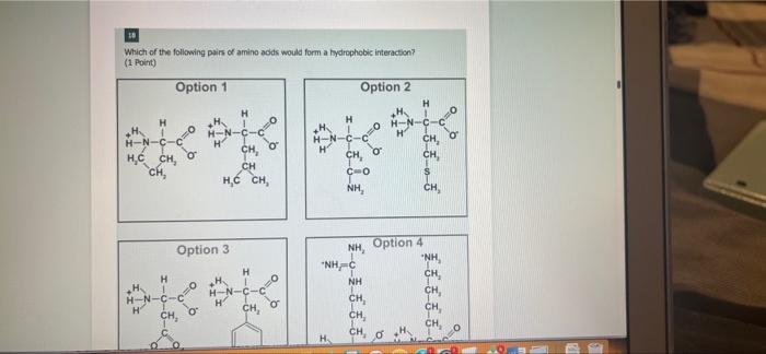 Solved Which Of The Following Pairs Of Amino Acids Will Be Chegg Com