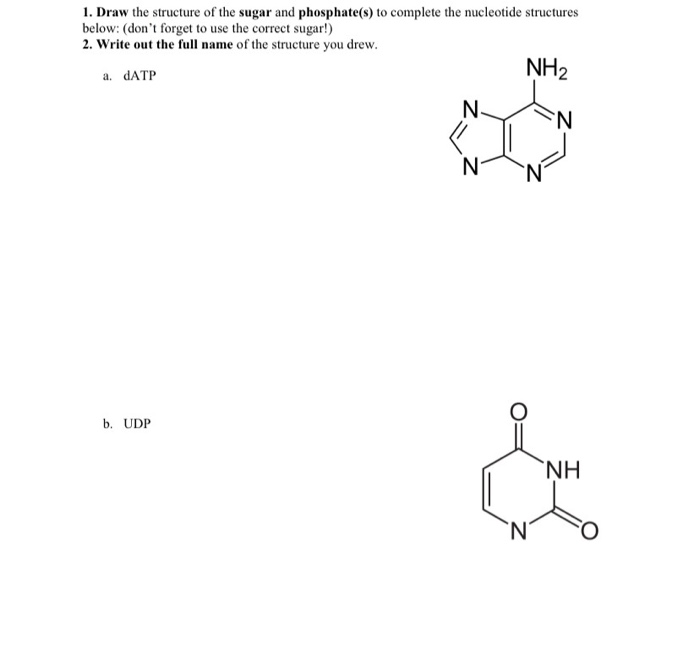 Solved 5 The Structure Labeled With A 1 Is A A Phosphate Chegg Com