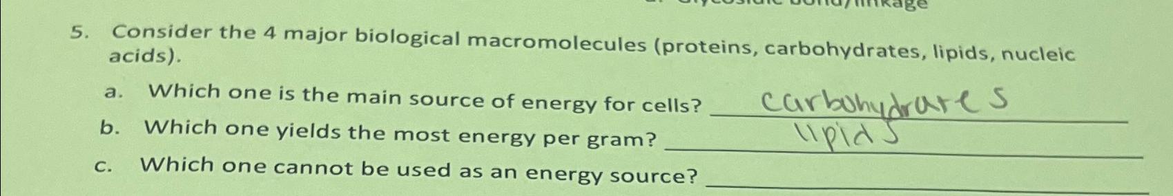 Solved Biological Macromolecules Use Information From The Chegg Com
